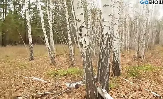 Outdoor Amateurs Fucking Leads to Multiple Cumshot Scenes