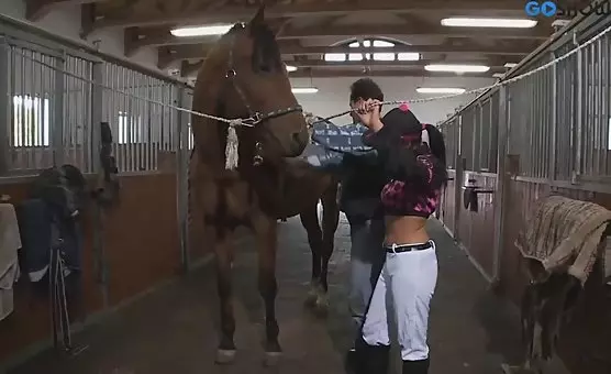 Jokey Brunette Buns Blowjob Fling